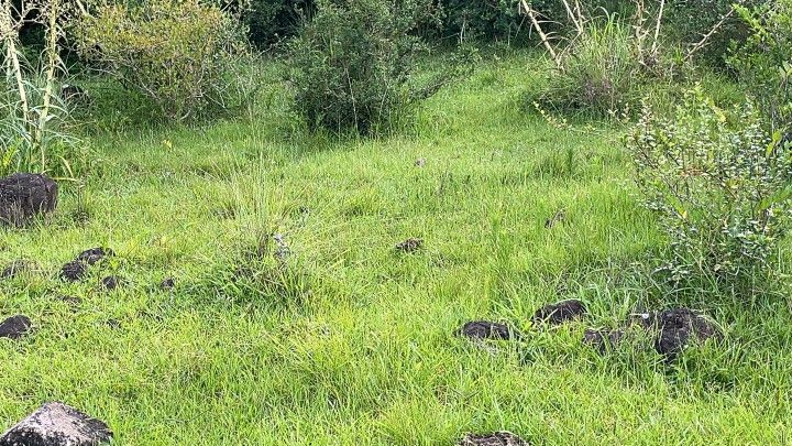 Chácara de 3 ha em Santo Antônio da Patrulha, RS