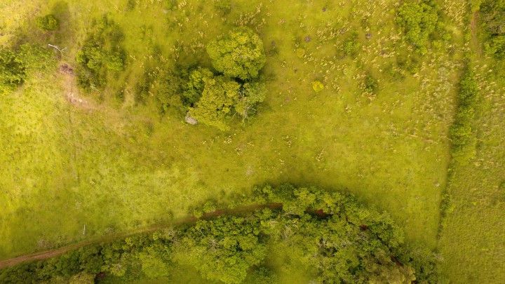 Chácara de 3 ha em Santo Antônio da Patrulha, RS