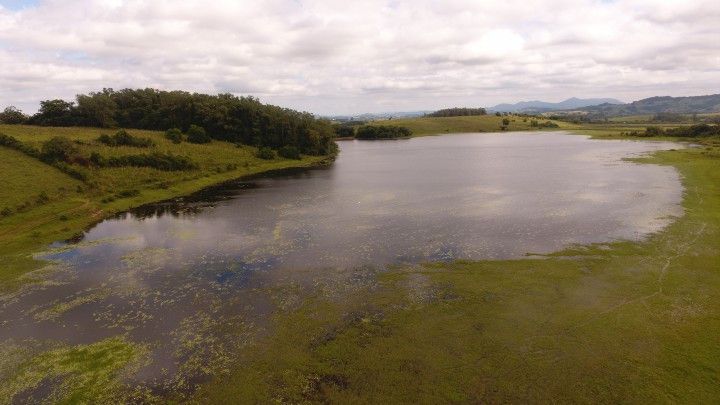 Chácara de 3 ha em Santo Antônio da Patrulha, RS