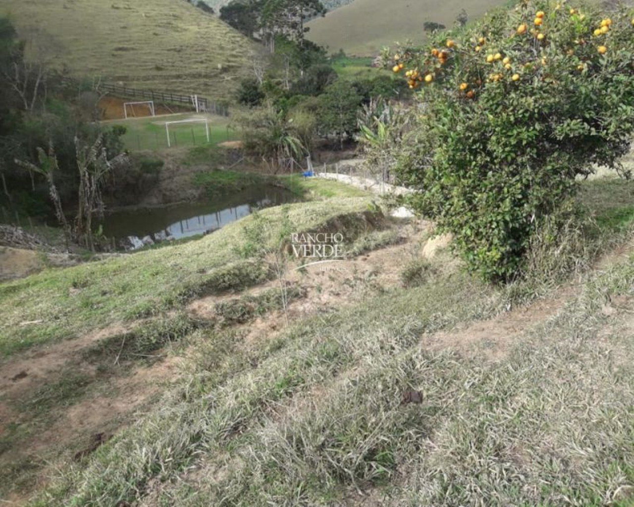 Sítio de 31 ha em Natividade da Serra, SP