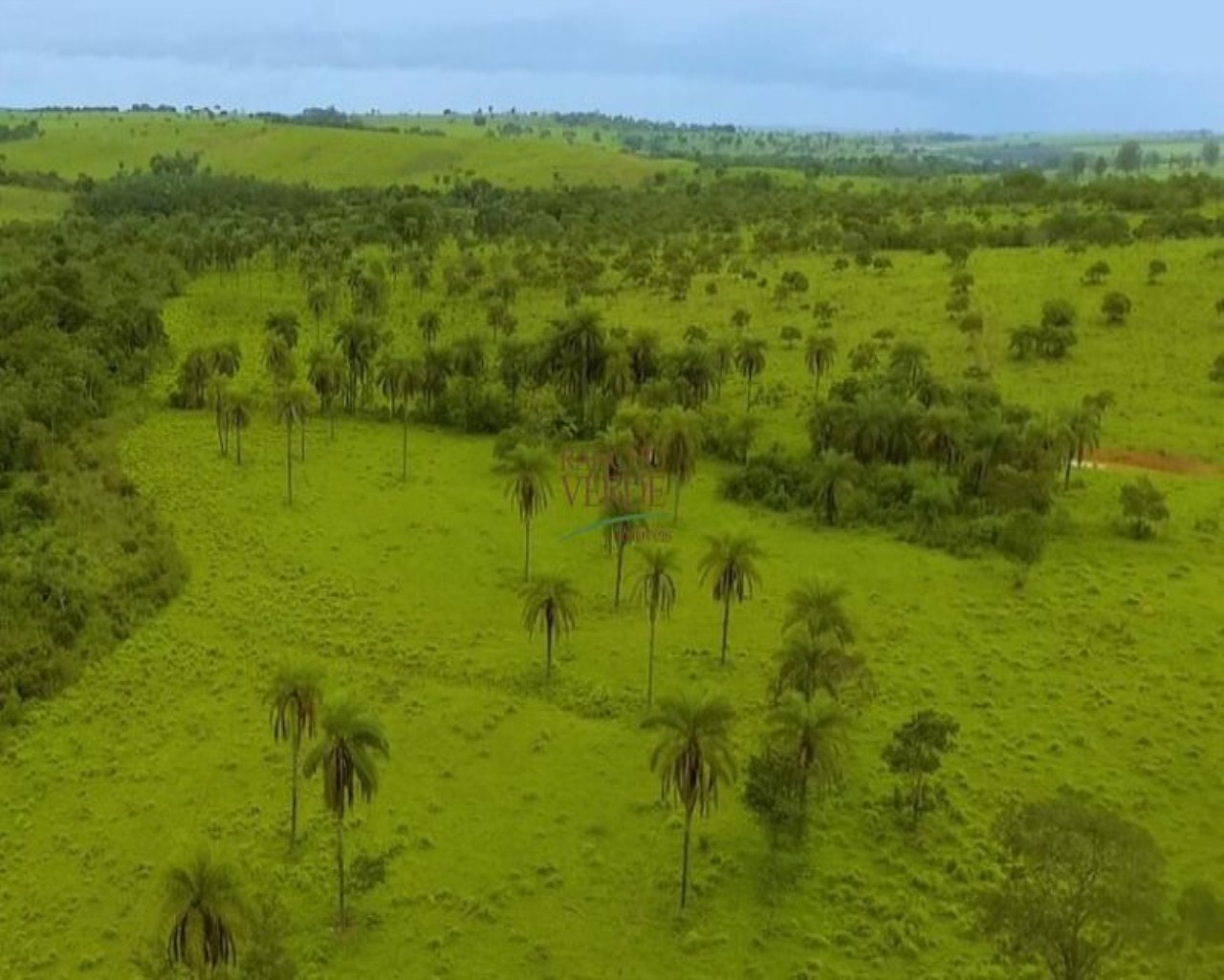 Fazenda de 850 ha em Luz, MG