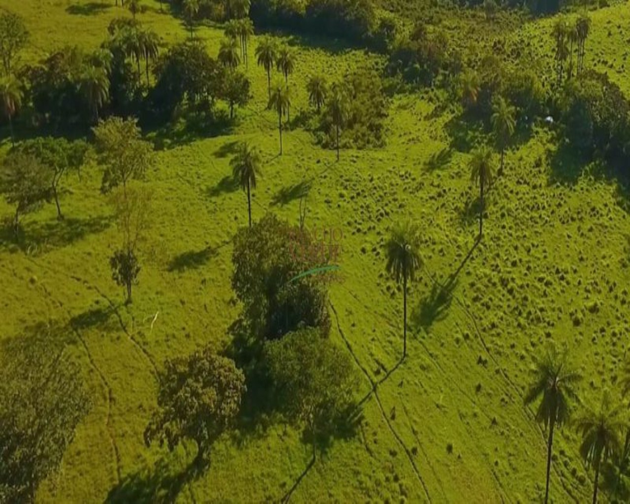 Fazenda de 850 ha em Luz, MG