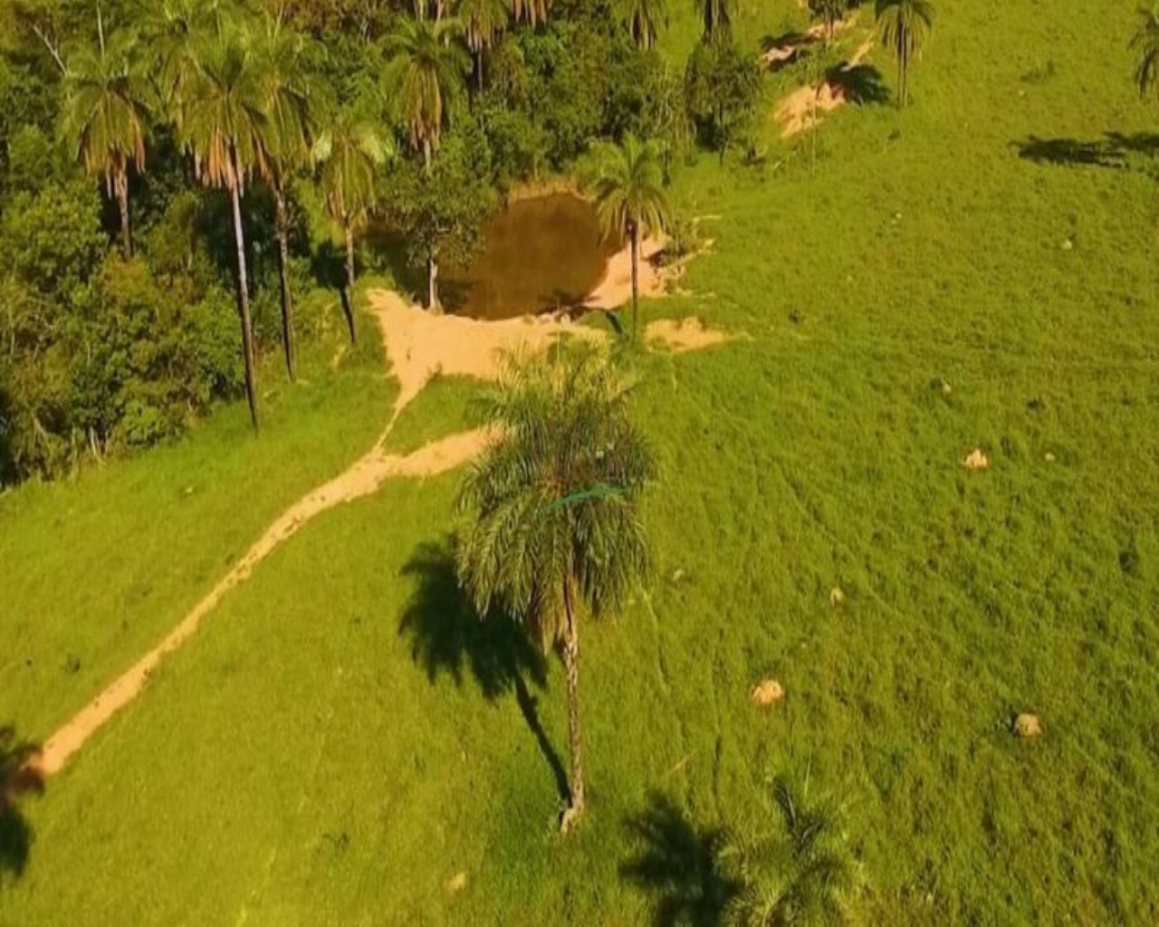 Fazenda de 850 ha em Luz, MG