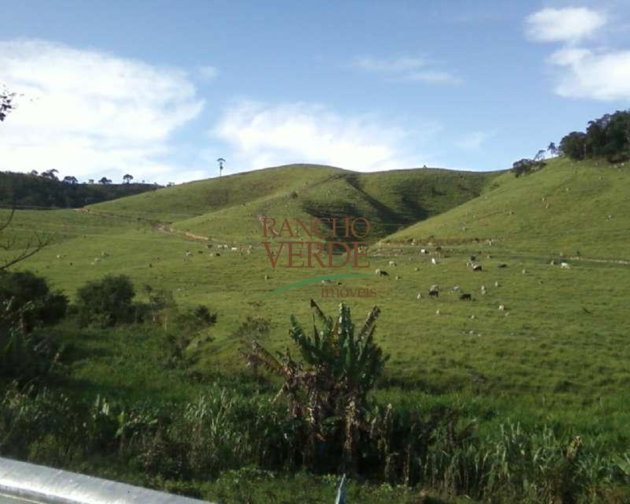 Fazenda de 126 ha em Redenção da Serra, SP