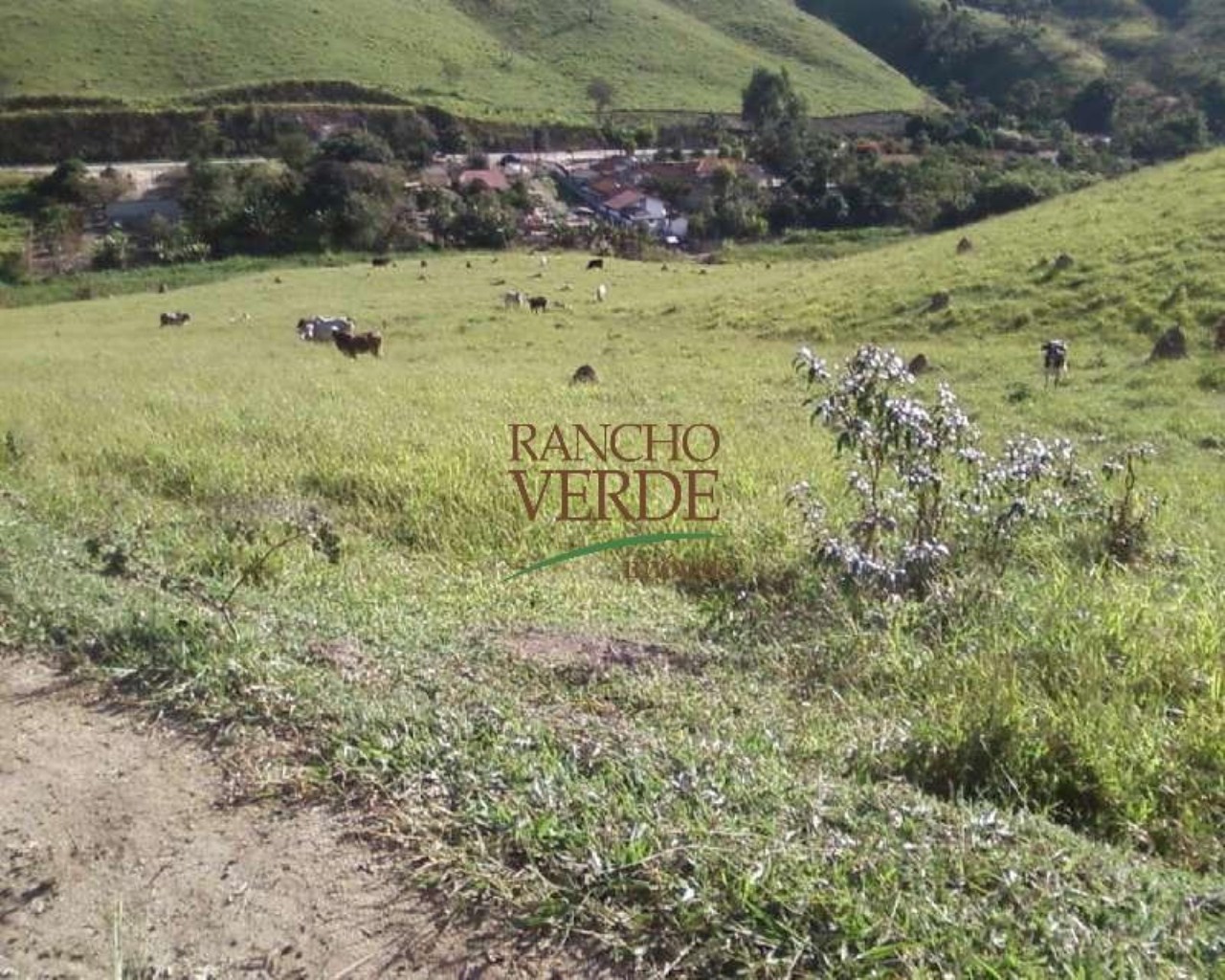 Fazenda de 126 ha em Redenção da Serra, SP