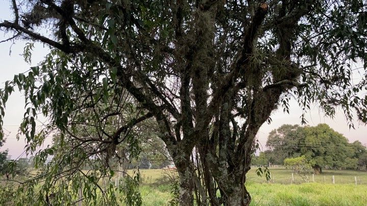 Chácara de 2.900 m² em Santo Antônio da Patrulha, RS