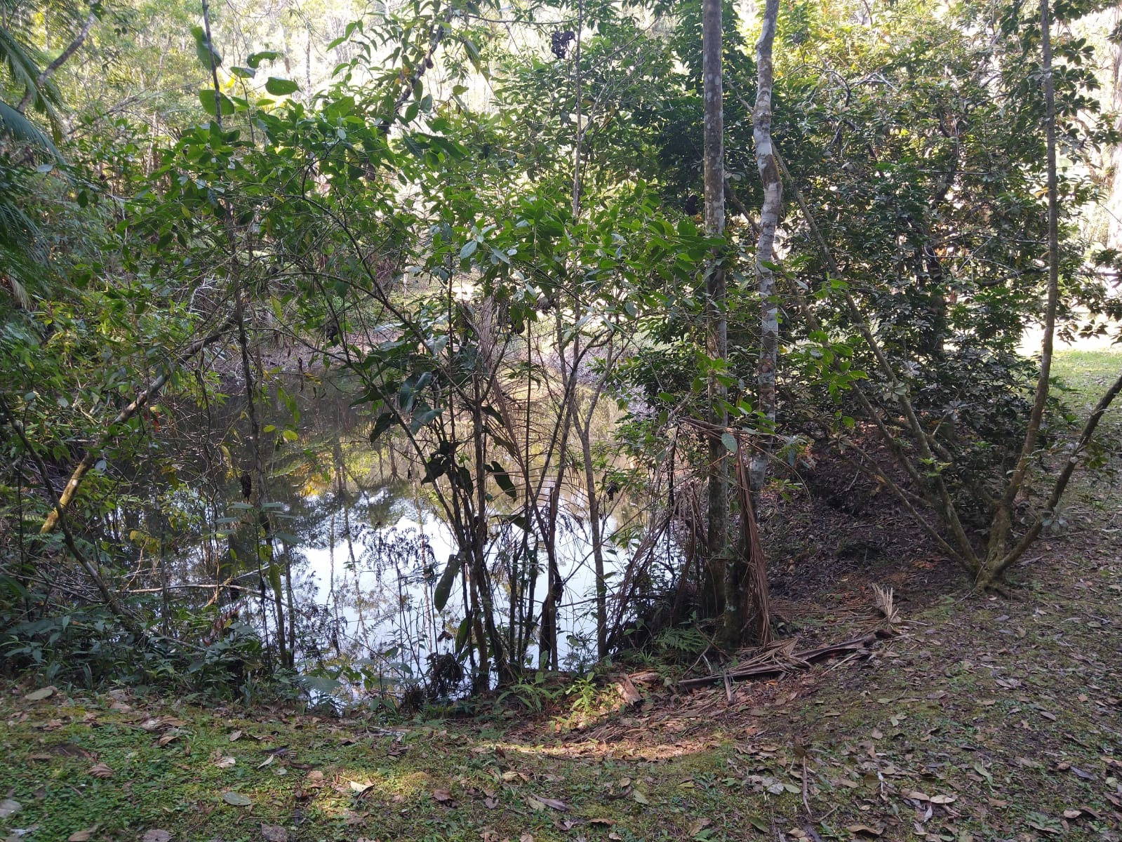 Chácara de 2 ha em Paraibuna, SP