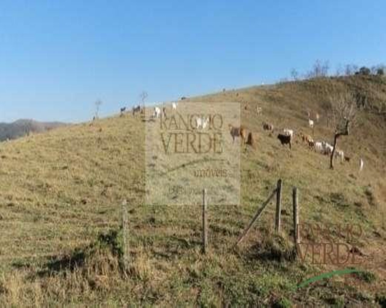 Sítio de 36 ha em Monteiro Lobato, SP