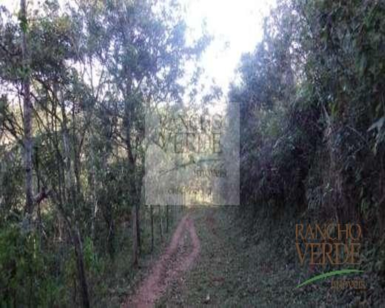 Sítio de 36 ha em Monteiro Lobato, SP