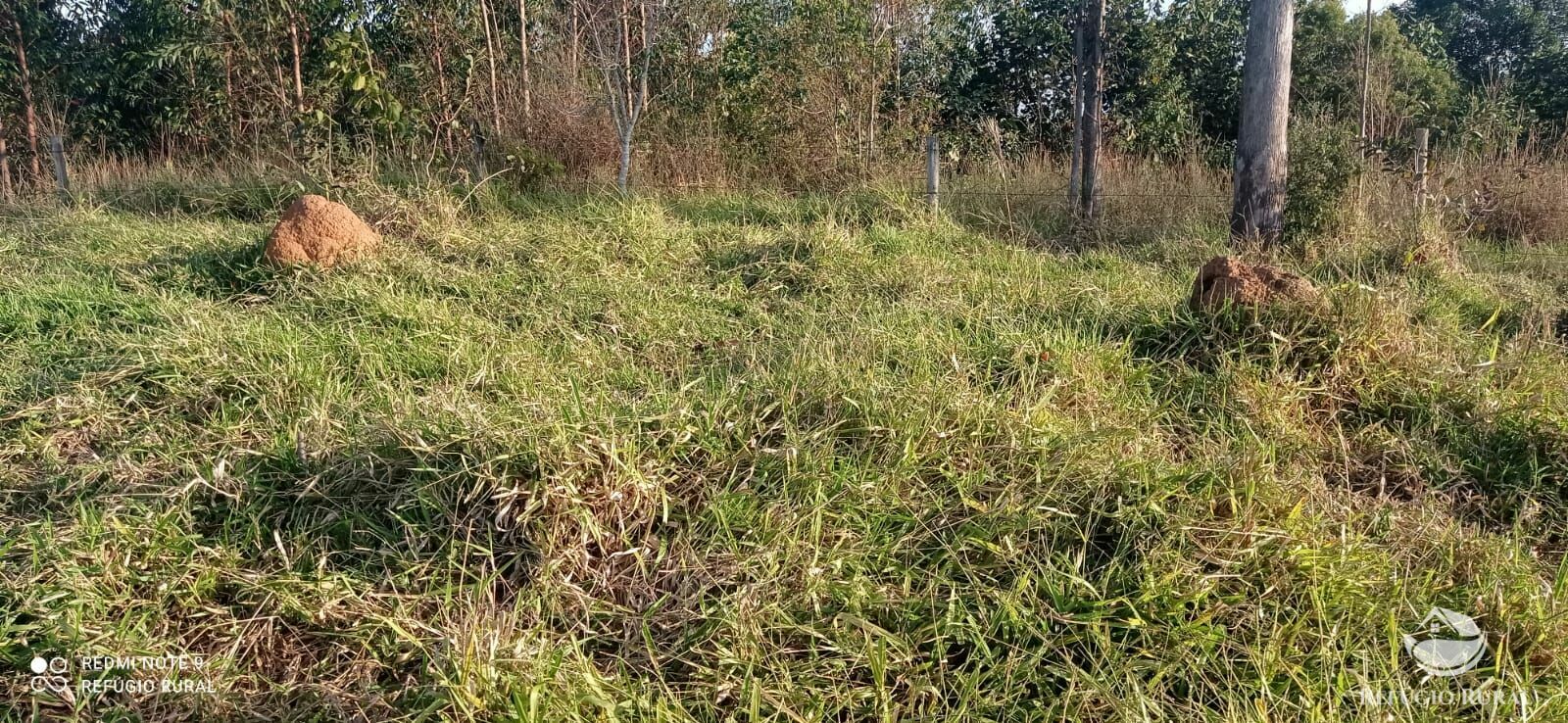 Terreno de 5 ha em São José dos Campos, SP