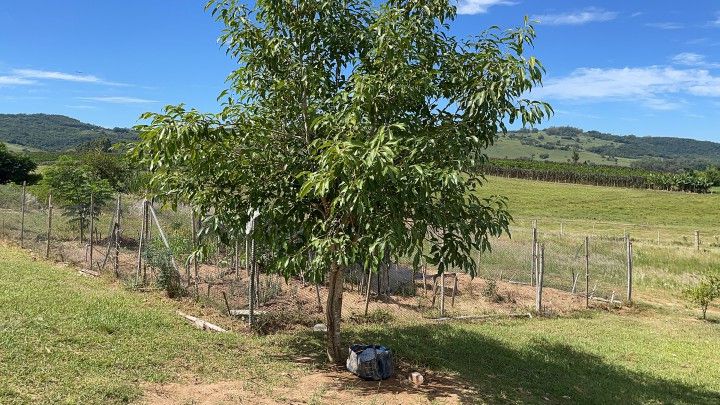 Chácara de 4.800 m² em Santo Antônio da Patrulha, RS