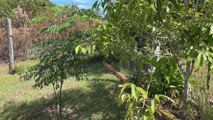 Chácara de 4.800 m² em Santo Antônio da Patrulha, RS