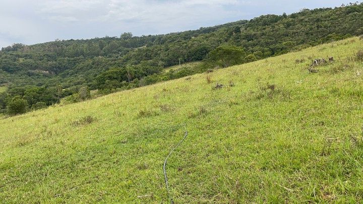 Terreno de 3 ha em Santo Antônio da Patrulha, RS