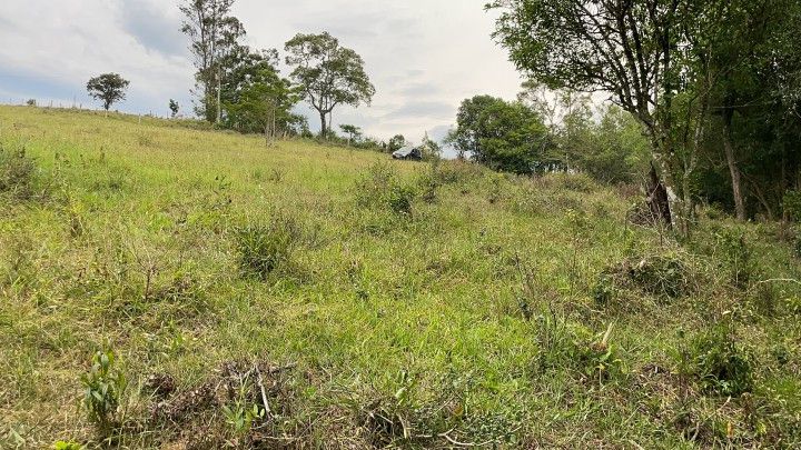 Terreno de 3 ha em Santo Antônio da Patrulha, RS