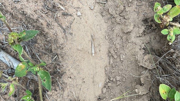 Terreno de 3 ha em Santo Antônio da Patrulha, RS