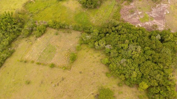 Terreno de 3 ha em Santo Antônio da Patrulha, RS