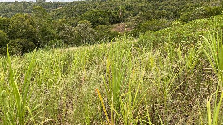 Terreno de 3 ha em Santo Antônio da Patrulha, RS