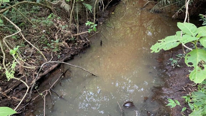 Terreno de 3 ha em Santo Antônio da Patrulha, RS