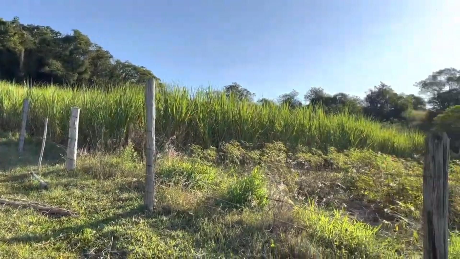 Chácara de 2 ha em Santo Antônio da Patrulha, RS