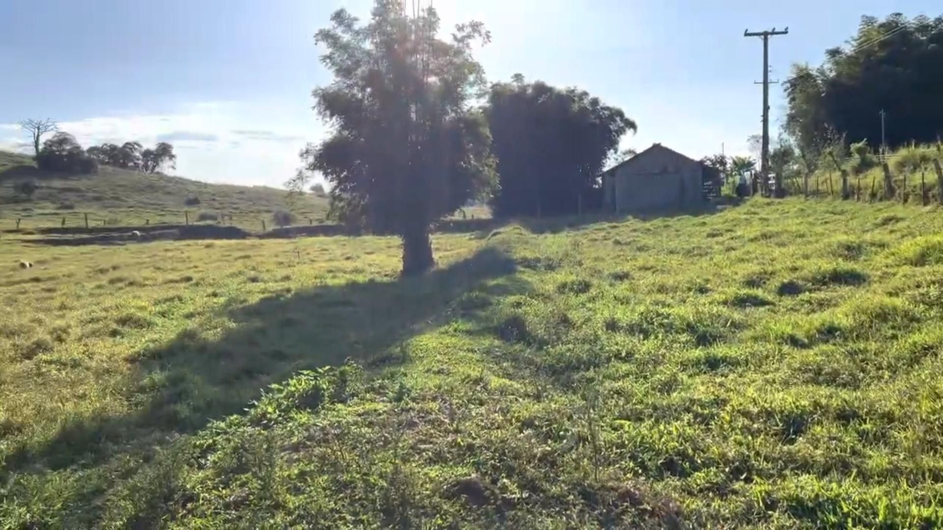 Chácara de 2 ha em Santo Antônio da Patrulha, RS