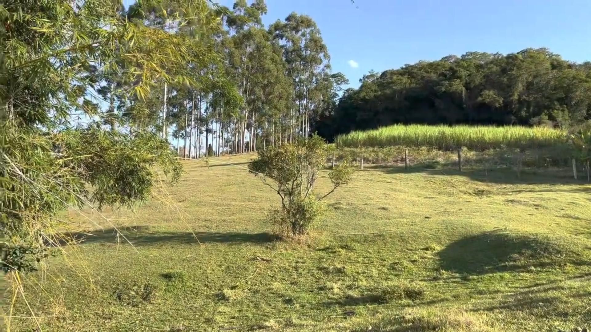 Chácara de 2 ha em Santo Antônio da Patrulha, RS