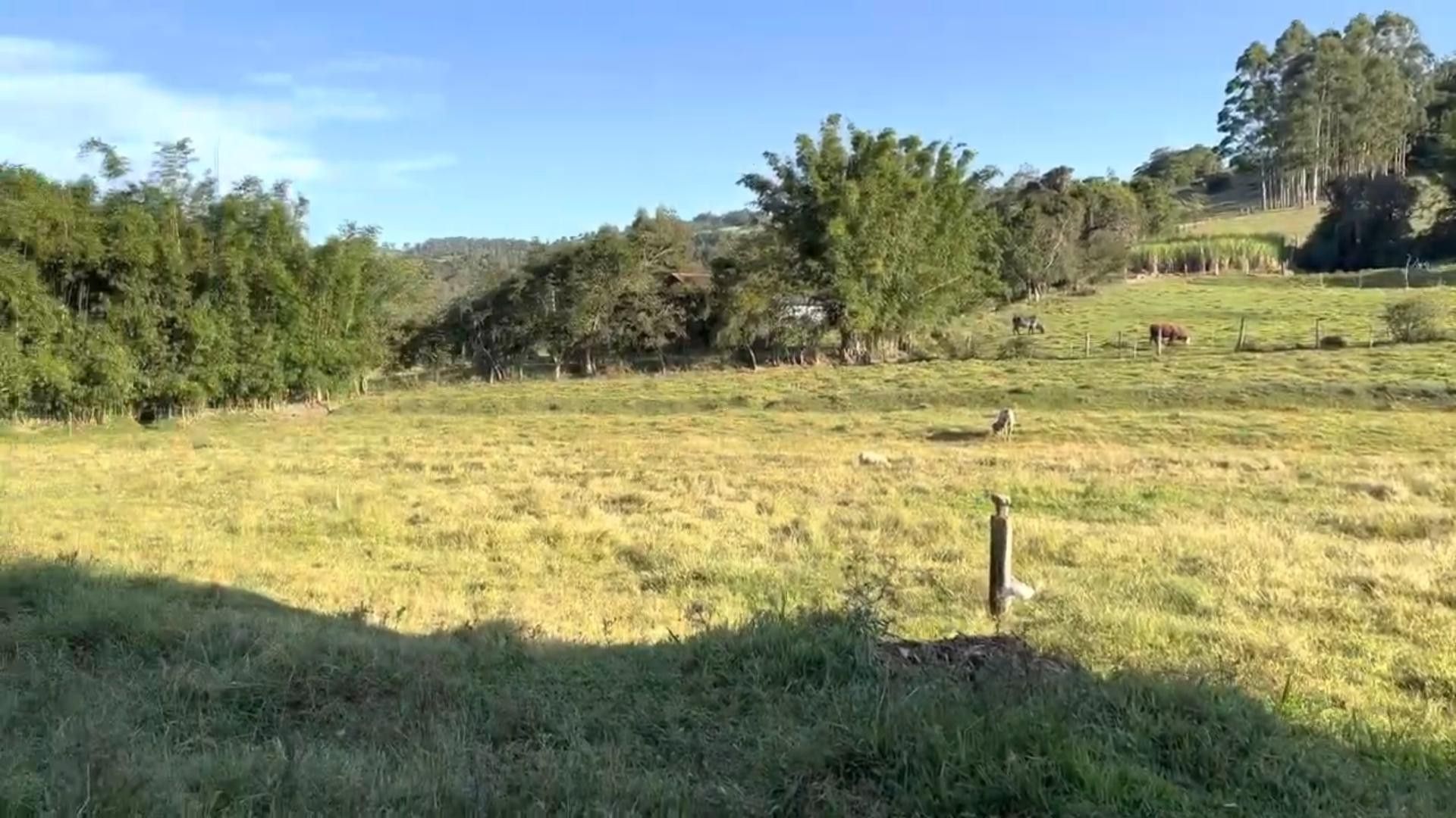 Chácara de 2 ha em Santo Antônio da Patrulha, RS