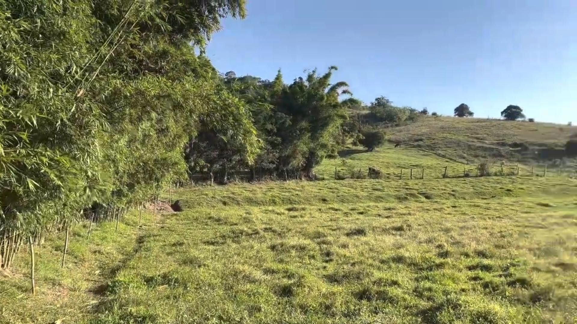 Chácara de 2 ha em Santo Antônio da Patrulha, RS