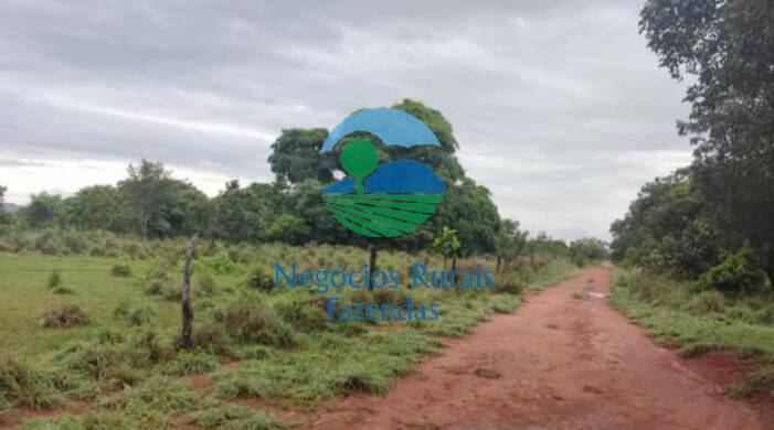 Fazenda de 2.000 ha em Aliança do Tocantins, TO