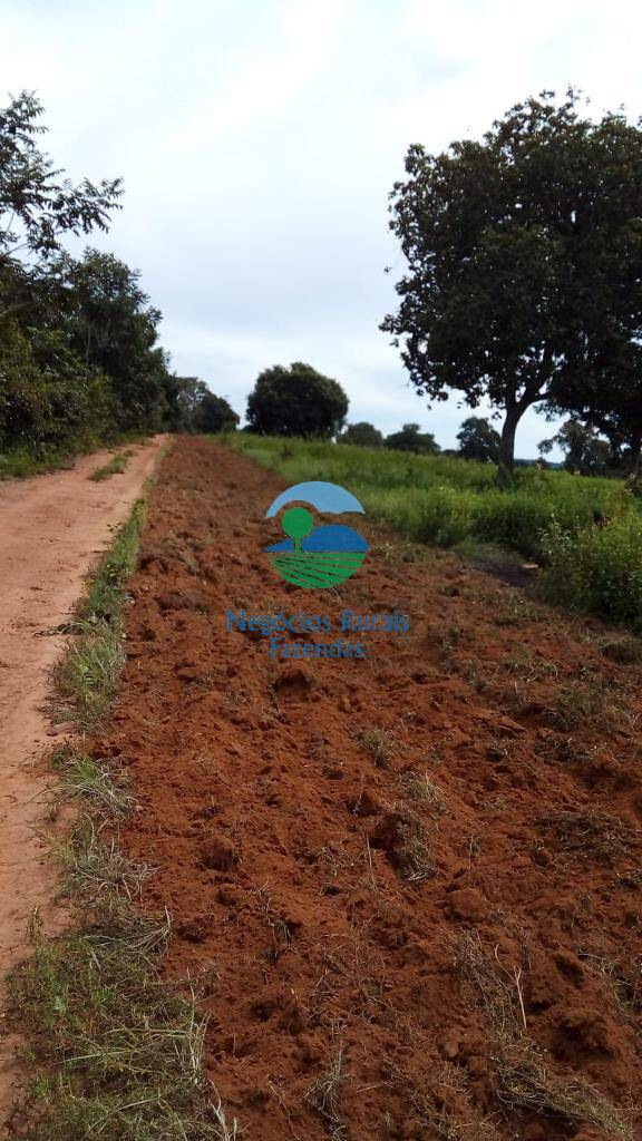 Fazenda de 2.000 ha em Aliança do Tocantins, TO