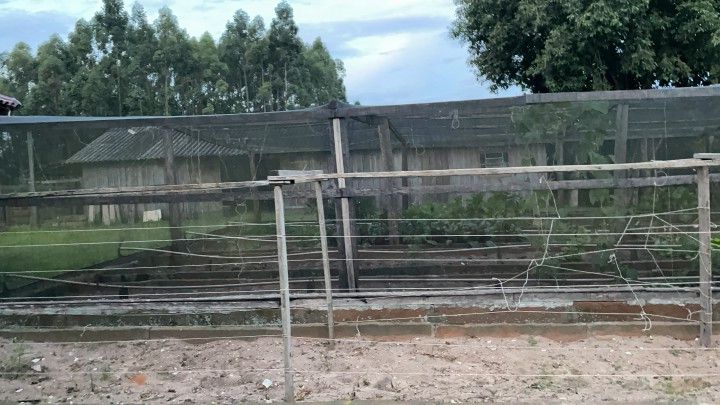 Chácara de 2 ha em Santo Antônio da Patrulha, RS