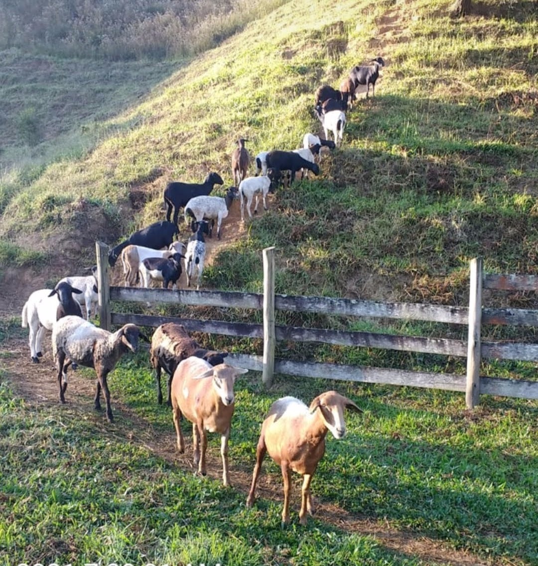 Fazenda de 68 ha em São José do Barreiro, SP