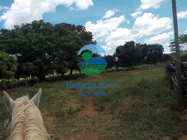 Fazenda de 346 ha em Buritis, MG