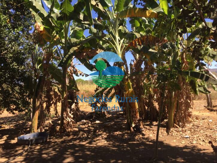 Fazenda de 346 ha em Buritis, MG