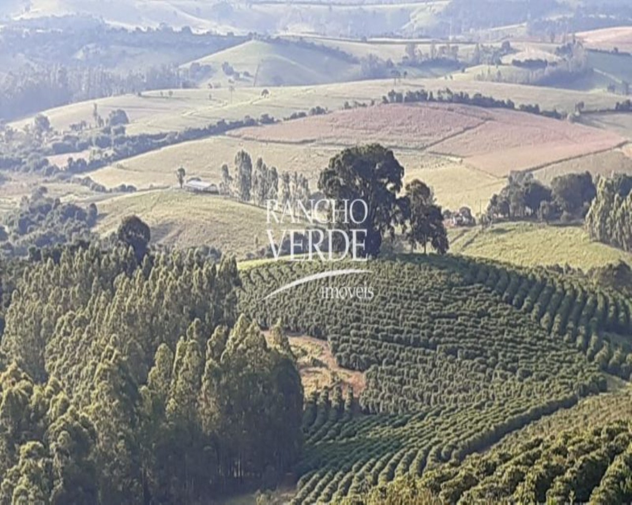 Fazenda de 303 ha em Pouso Alegre, MG