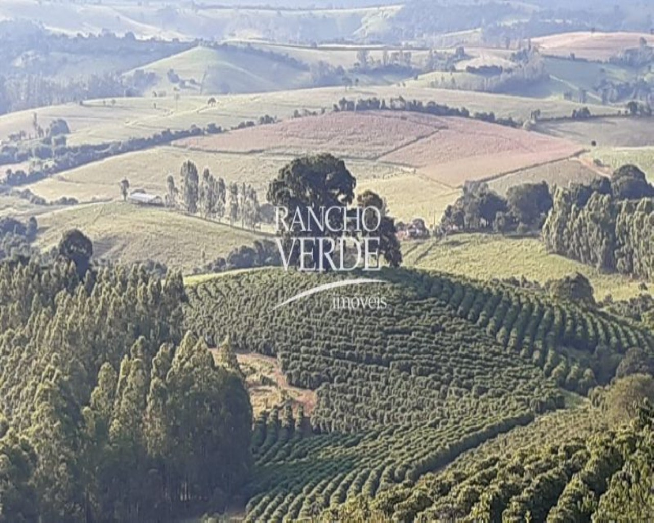 Fazenda de 303 ha em Pouso Alegre, MG