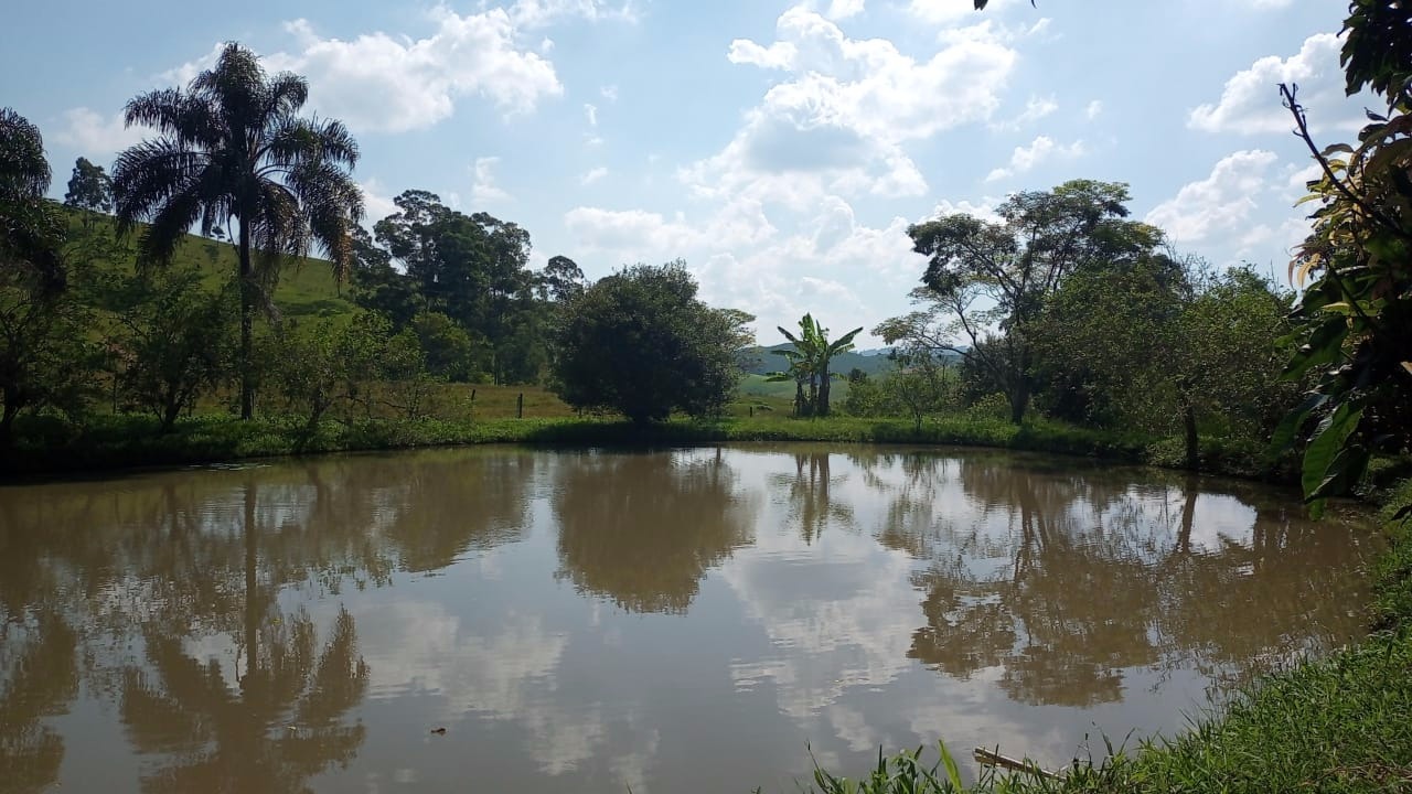 Sítio de 43 ha em Jambeiro, SP