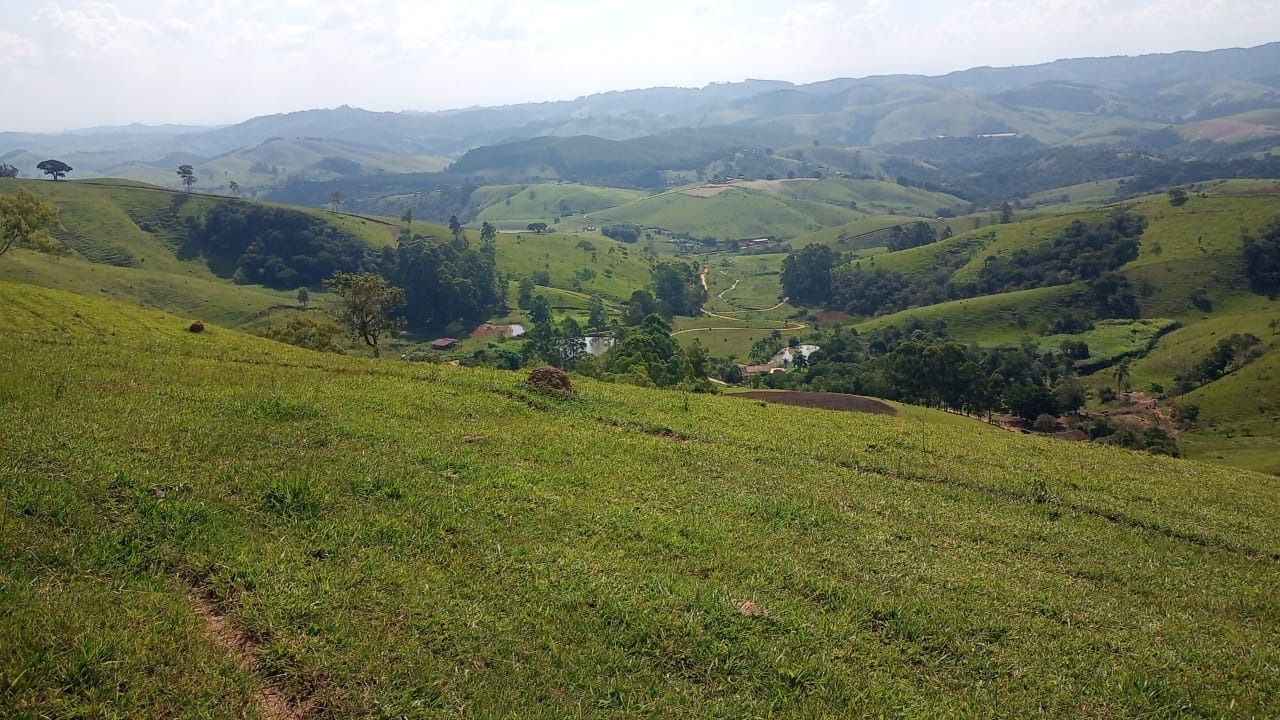 Sítio de 43 ha em Jambeiro, SP