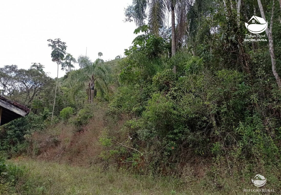 Fazenda de 106 ha em São José dos Campos, SP