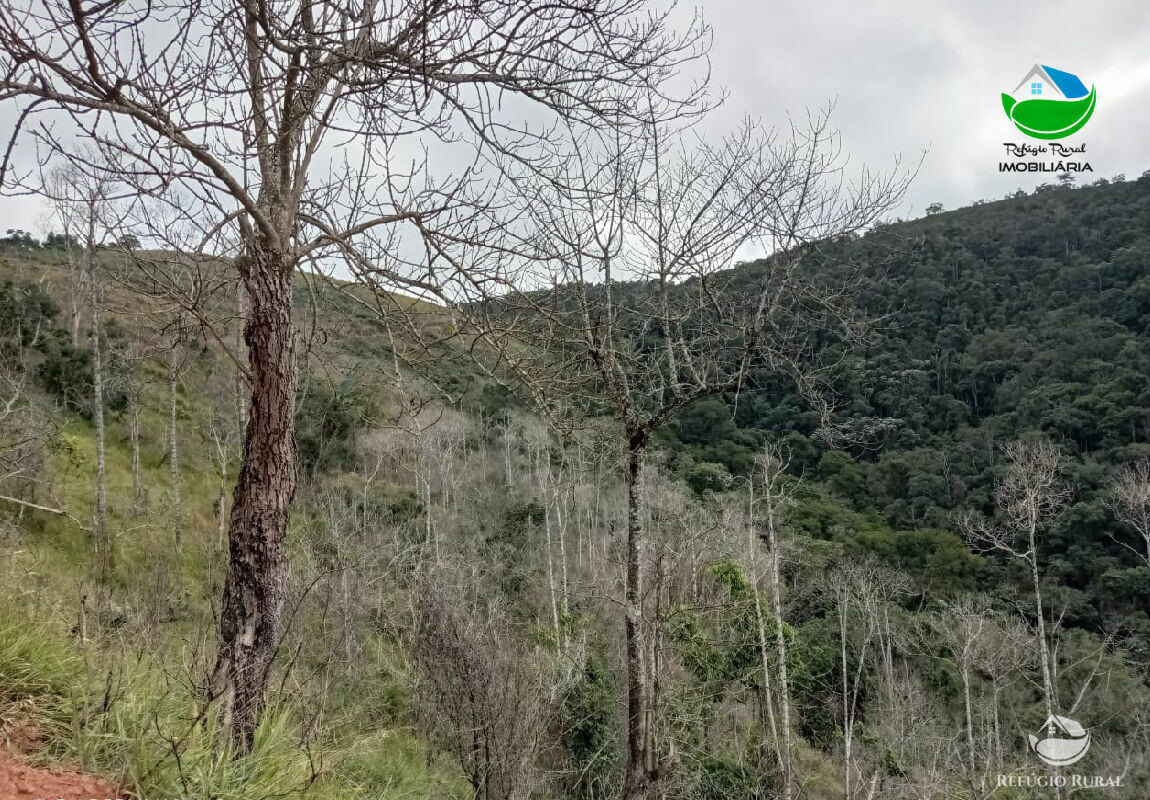 Fazenda de 106 ha em São José dos Campos, SP