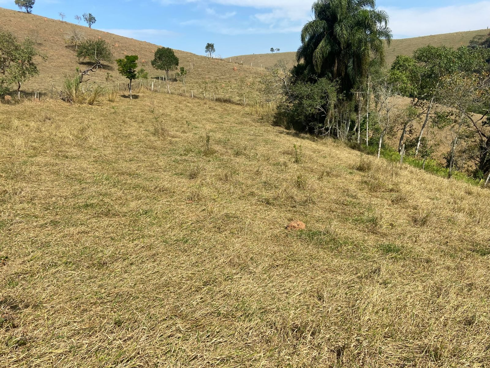 Chácara de 3 ha em São José dos Campos, SP