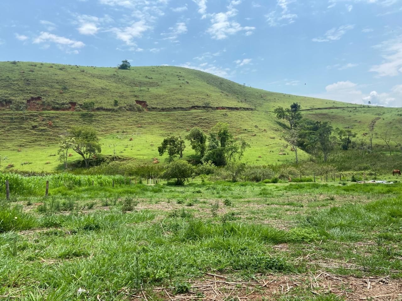 Fazenda de 174 ha em Lorena, SP