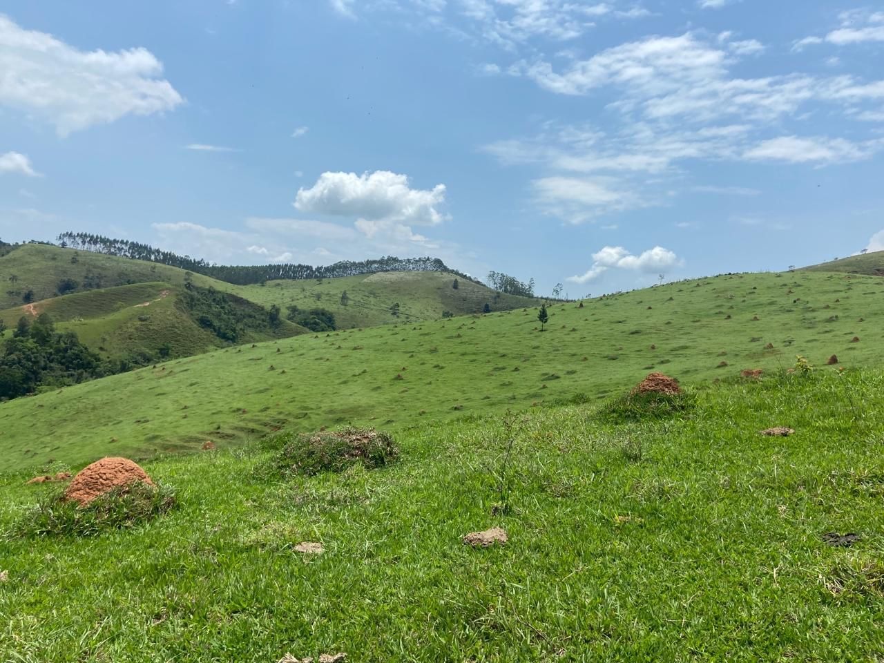 Fazenda de 174 ha em Lorena, SP