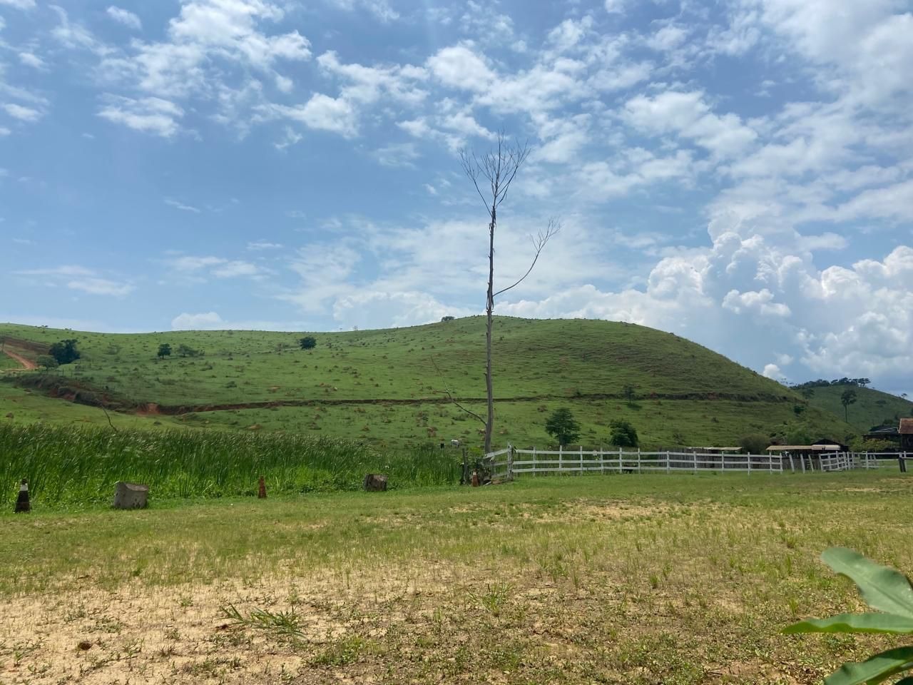 Fazenda de 174 ha em Lorena, SP