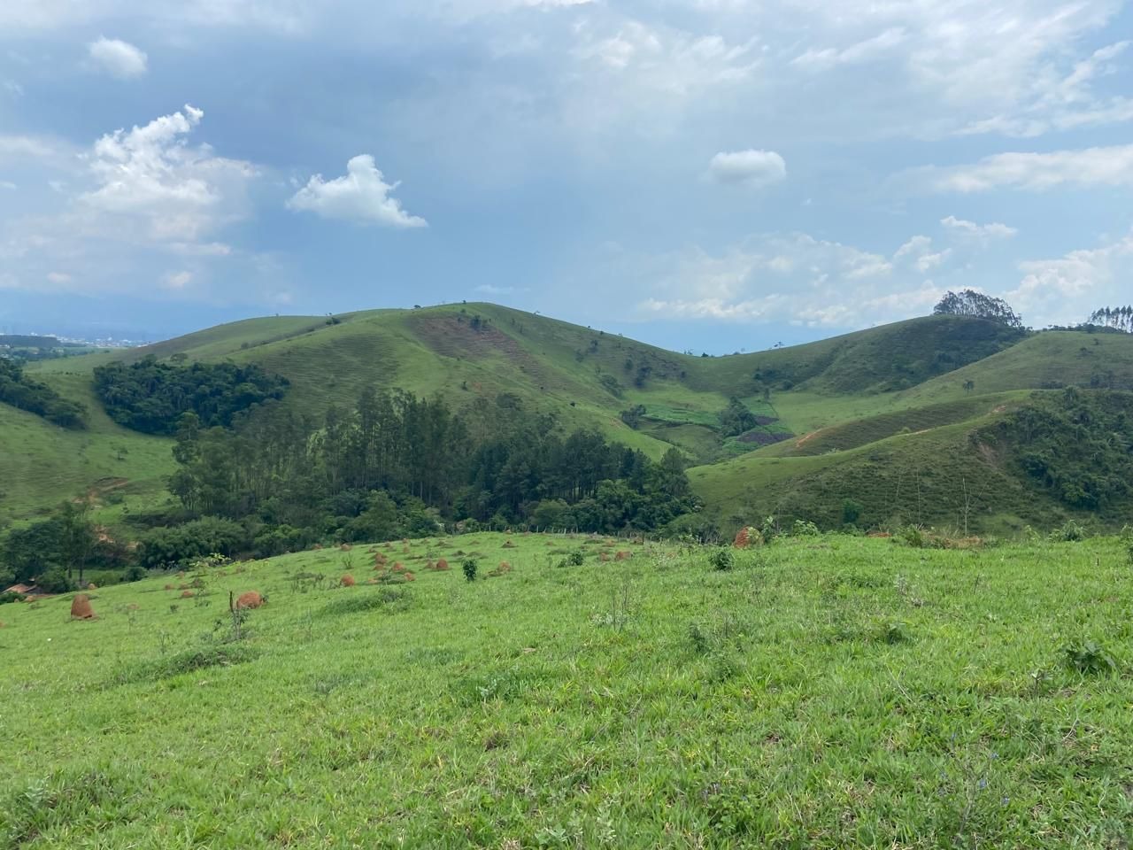 Fazenda de 174 ha em Lorena, SP