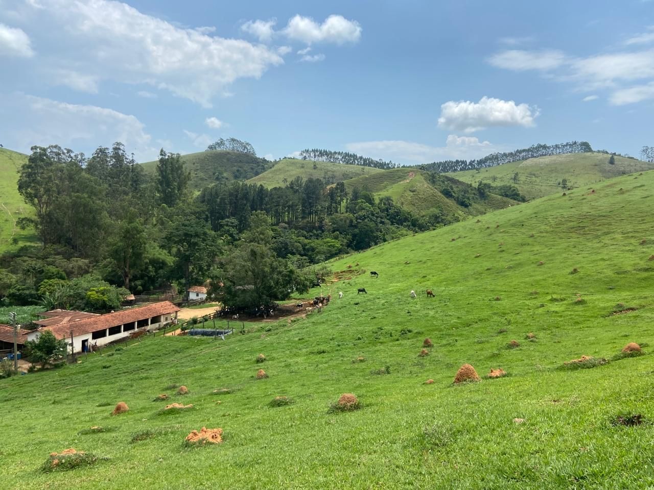 Fazenda de 174 ha em Lorena, SP