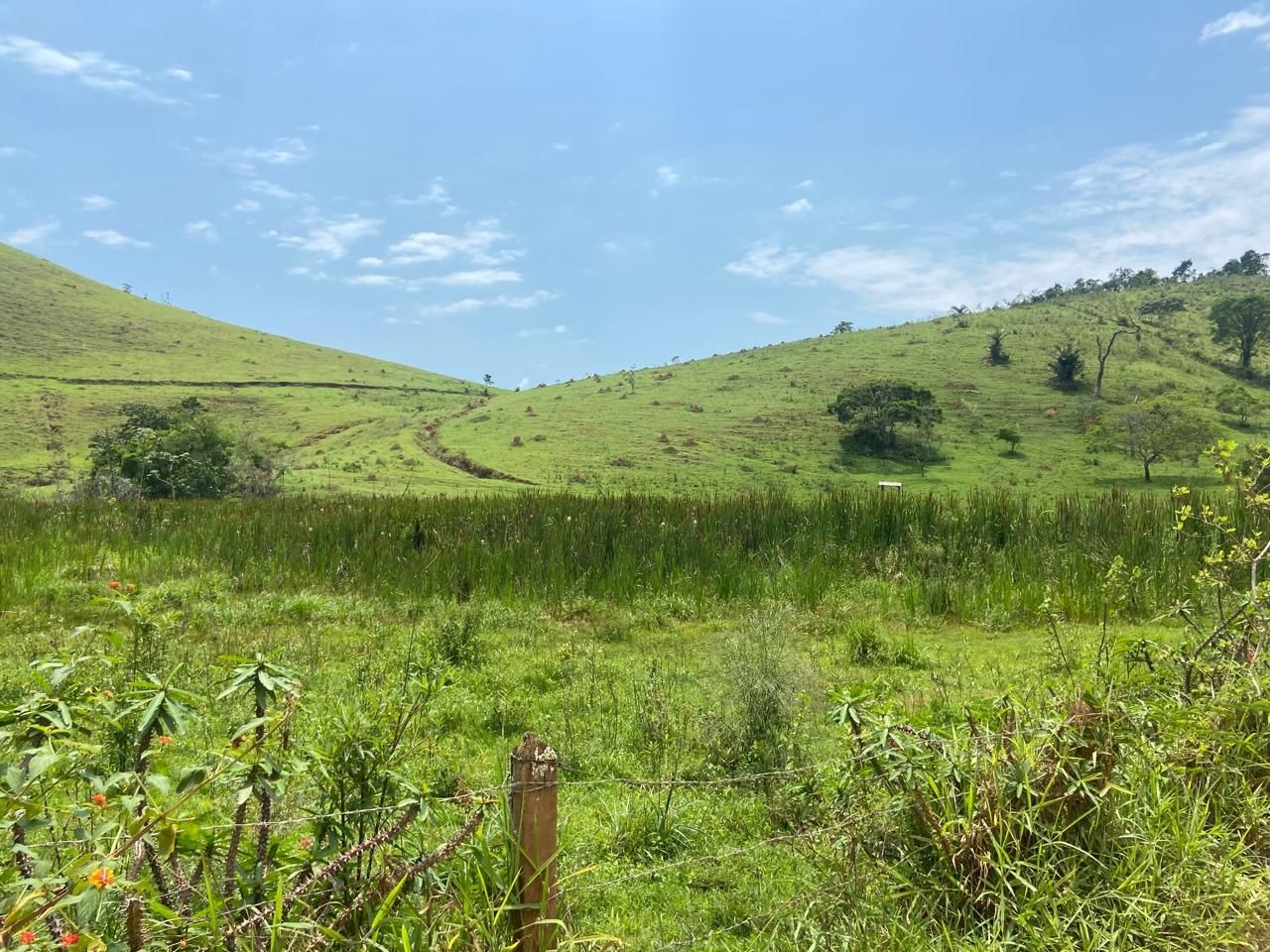 Fazenda de 174 ha em Lorena, SP