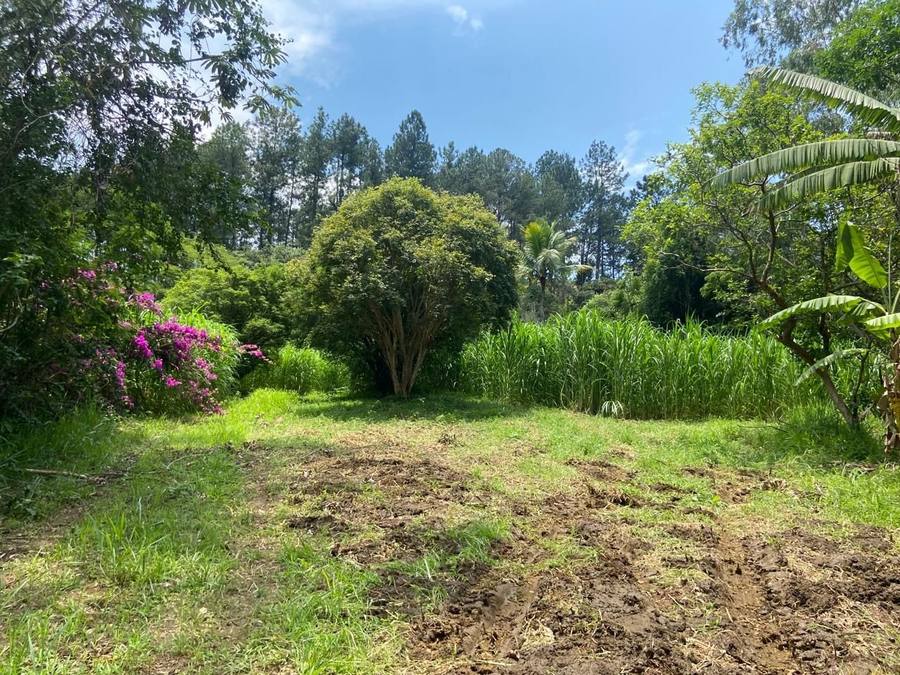 Fazenda de 174 ha em Lorena, SP