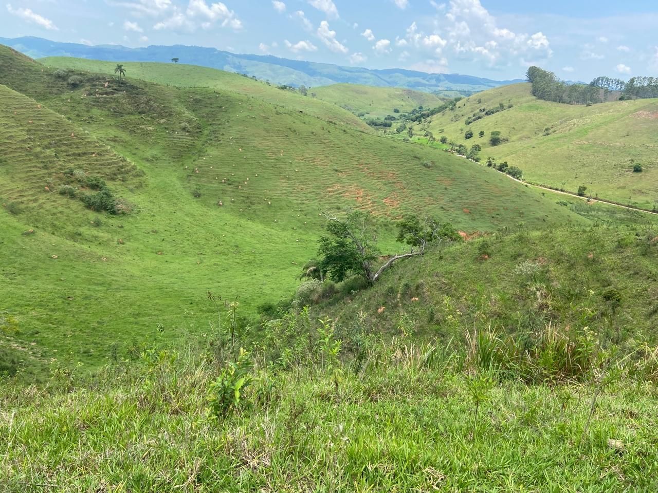 Fazenda de 174 ha em Lorena, SP