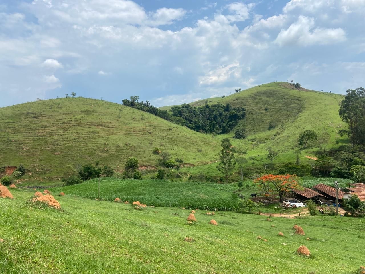 Fazenda de 174 ha em Lorena, SP