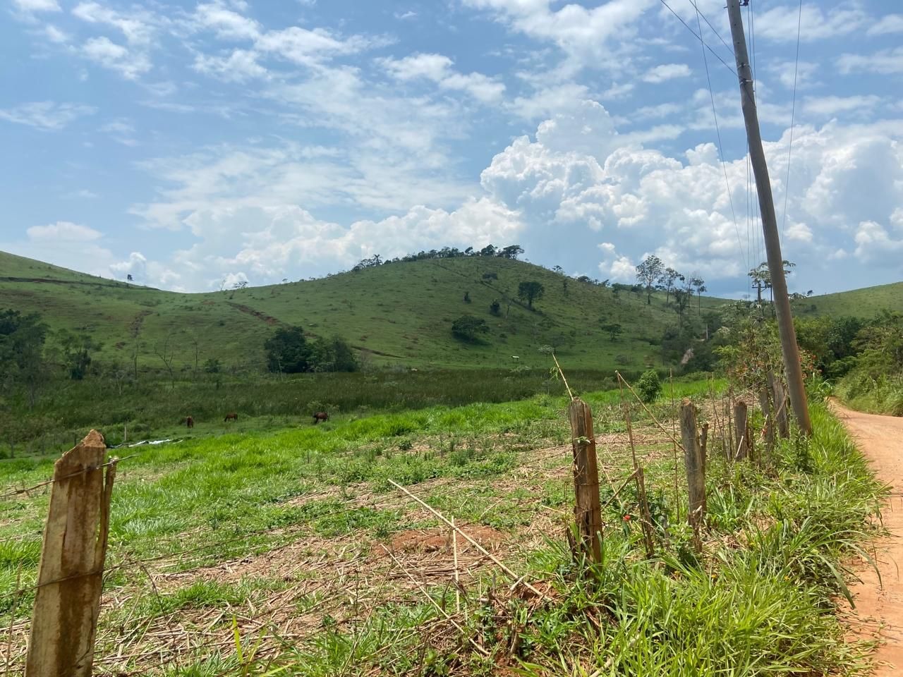 Fazenda de 174 ha em Lorena, SP